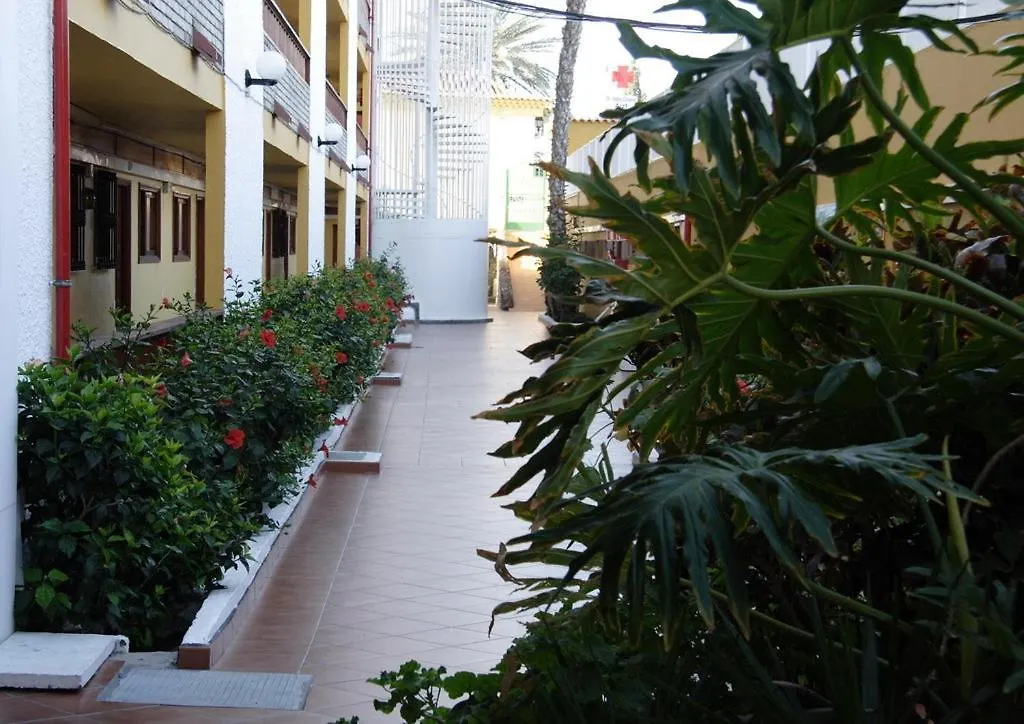 Apartment Apartamentos Los Tilos Playa del Ingles  Spain
